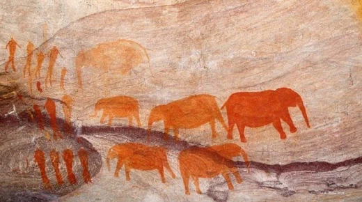 A prehistoric graffiti representing flock of preistoric elephants, from the Cederberg Conservacy in South Africa.
